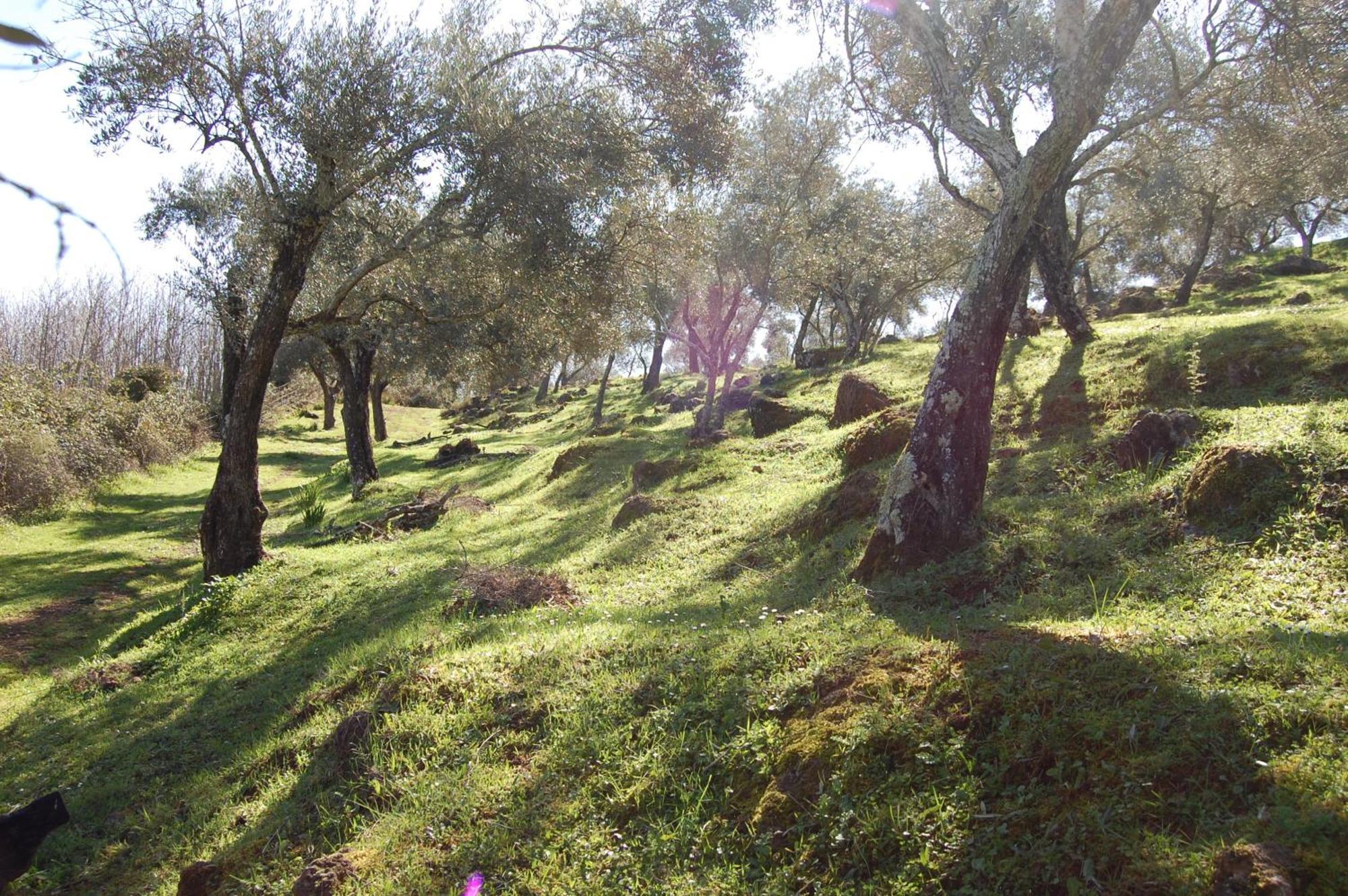 Los Pozos De La Nieve Constantina Eksteriør billede